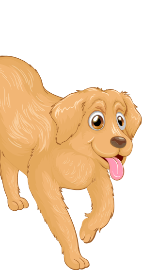 Dog4