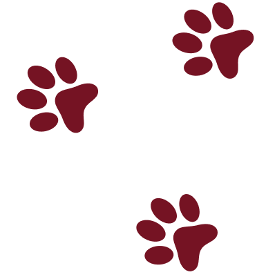 feet