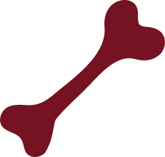 Bone2