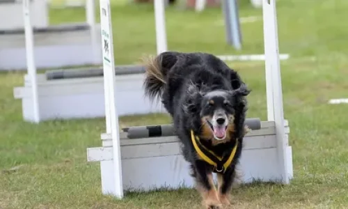 i - 2025-12-11T025628.357