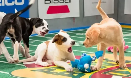 i - 2025-12-11T030035.933